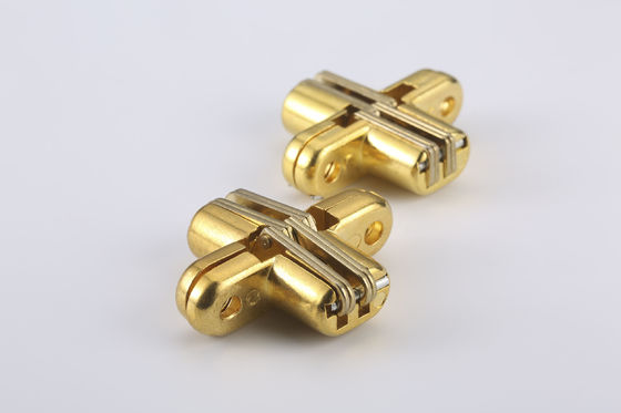 50lbs Mortise 180 βαθμού τοποθετούν το αόρατο υλικό ανοξείδωτου αρθρώσεων