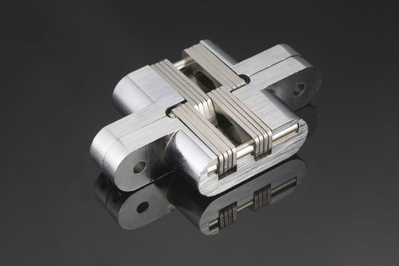 Η ηλεκτρολυτική βαρέων καθηκόντων κρυμμένη πόρτα αρθρώνει το για πολλές χρήσεις αντιδιαβρωτικό